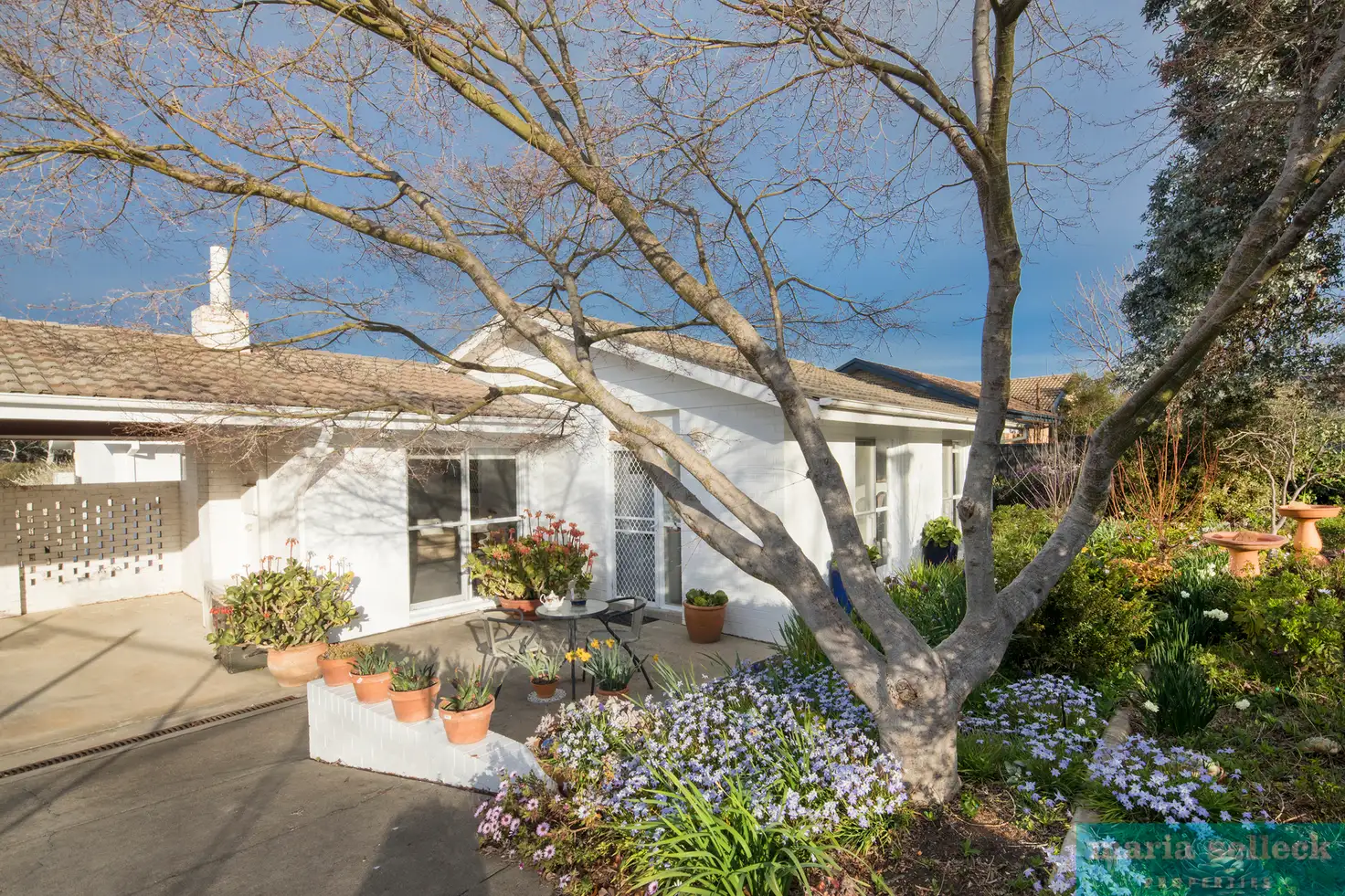 Main view of Homely house listing, 8 Coghlan Street, Chifley ACT 2606