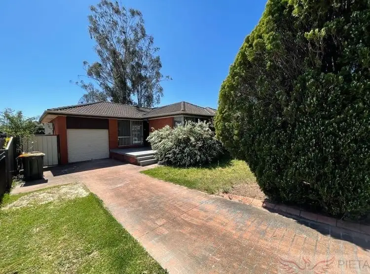 24 Greenway Avenue, Shalvey NSW 2770