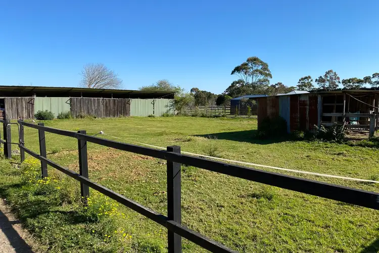 Fifth view of Homely rural property listing, 87 Booralie Road, Terrey Hills NSW 2084