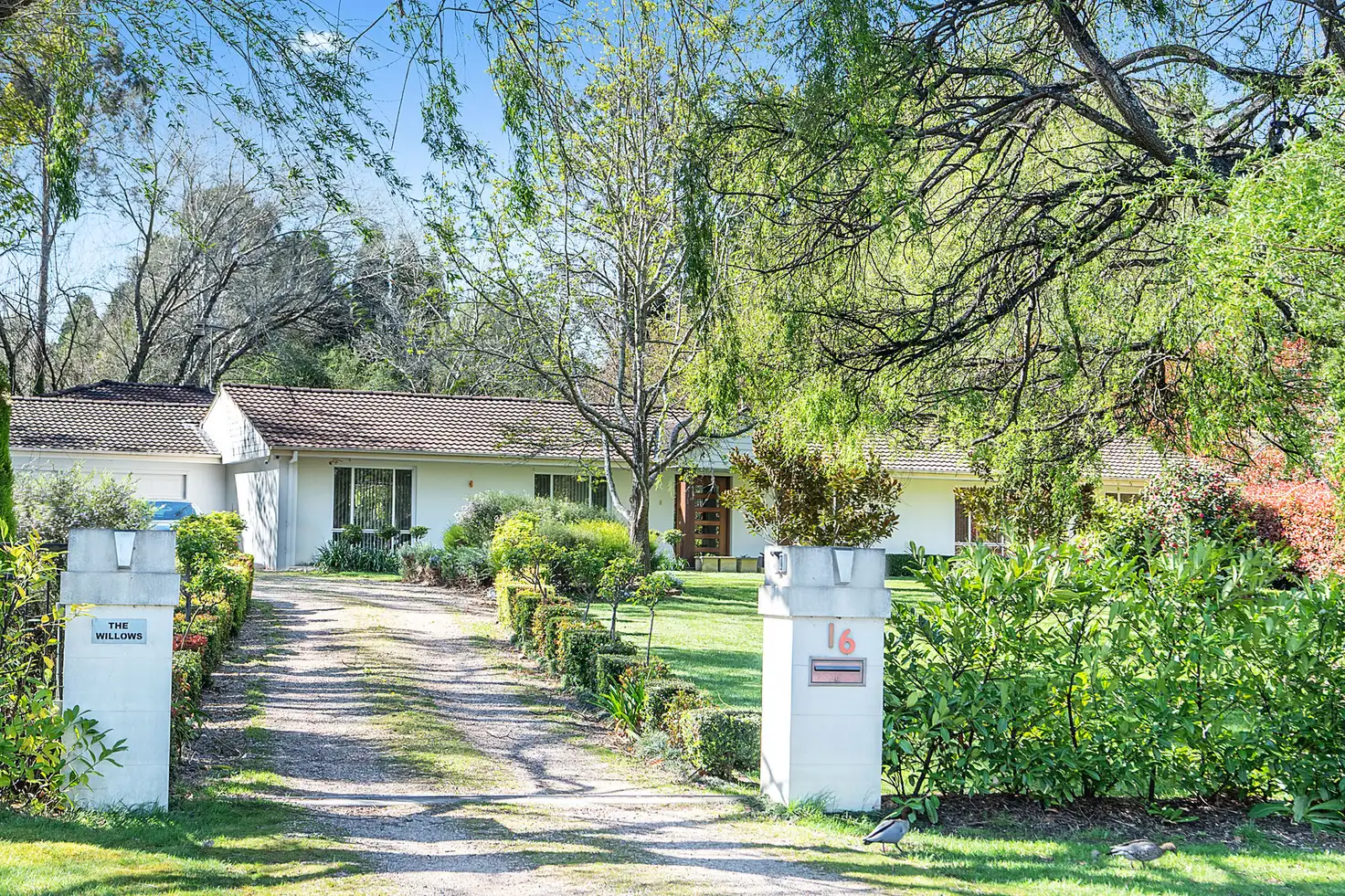 Main view of Homely house listing, 16 Phillip Street, Burradoo NSW 2576