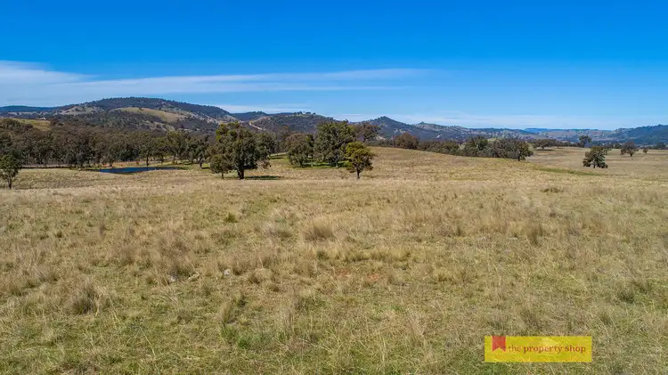 Second view of Homely rural property listing, 1302 Hill End Road, Mudgee NSW 2850