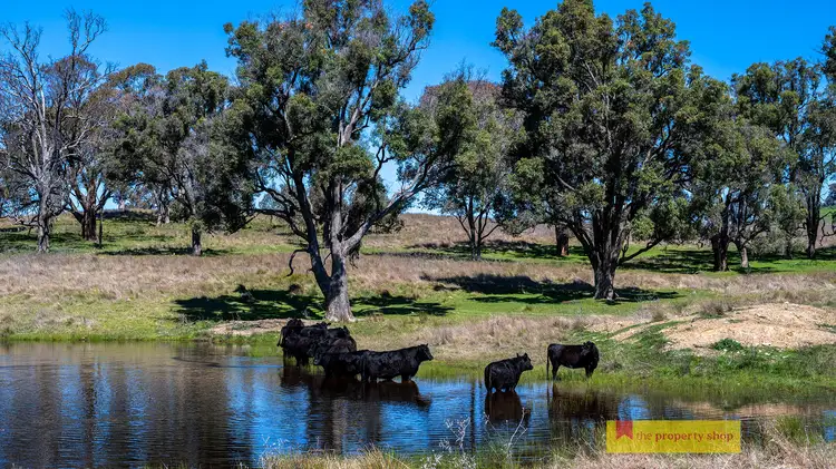 Third view of Homely rural property listing, 1302 Hill End Road, Mudgee NSW 2850