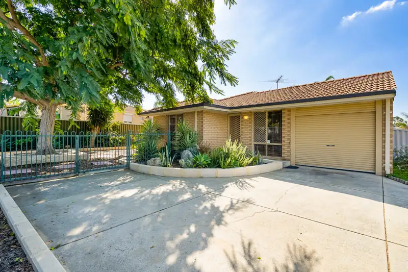 Main view of Homely semi-detached listing, 221B Eddystone Avenue, Beldon WA 6027