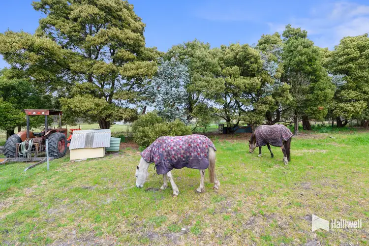 60 Milldam Road, Squeaking Point TAS 7307
