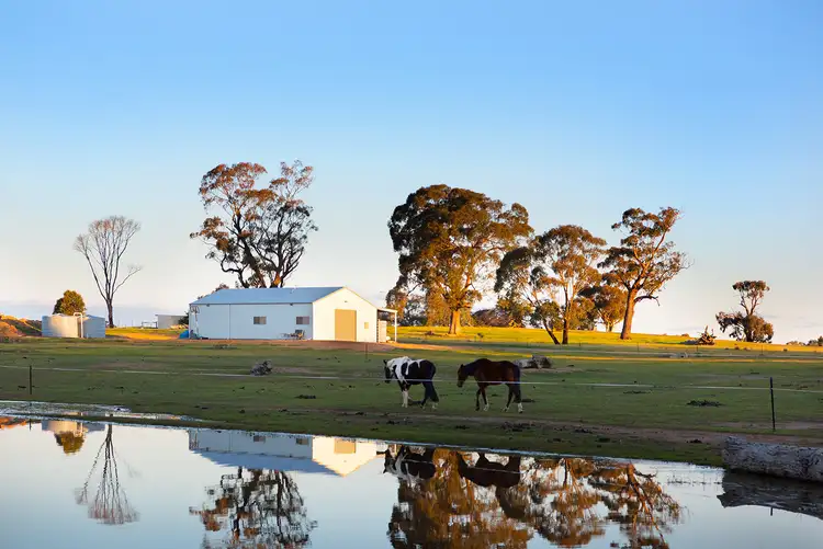 Sixth view of Homely land listing, 48 Briggs Road, Eppalock VIC 3551