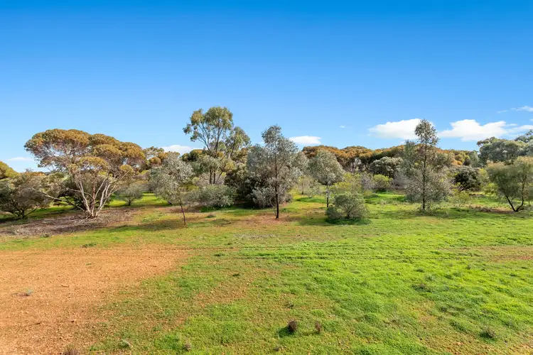 Main view of Homely land listing, LOT 24 Cemetery Road, Callington SA 5254