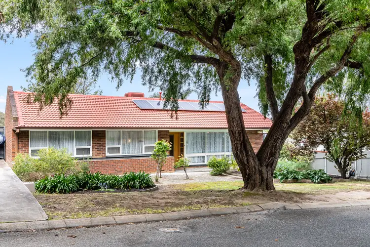 17 Tatiara Drive, Banksia Park SA 5091