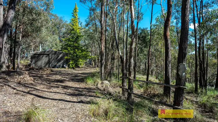 Main view of Homely rural property listing, 156 Triangle Swamp Road, Mudgee NSW 2850