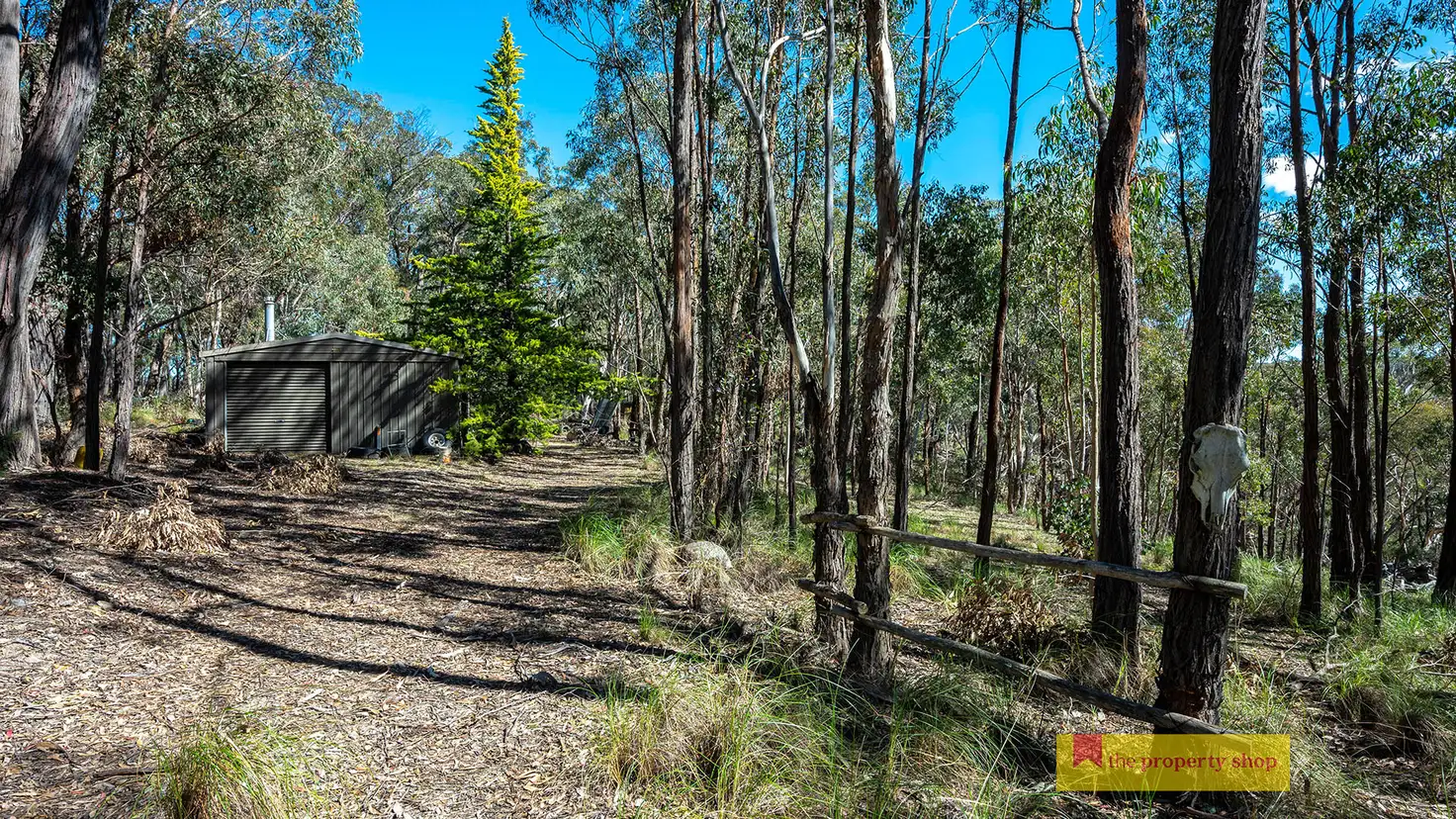Main view of Homely rural property listing, 156 Triangle Swamp Road, Mudgee NSW 2850