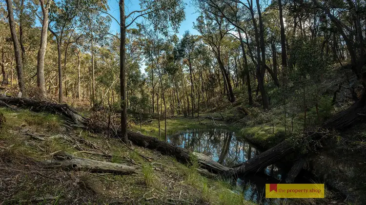 Second view of Homely rural property listing, 156 Triangle Swamp Road, Mudgee NSW 2850