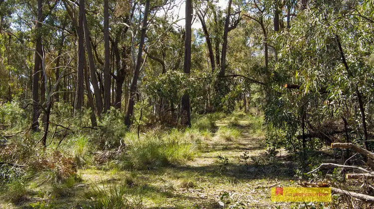 Third view of Homely rural property listing, 156 Triangle Swamp Road, Mudgee NSW 2850