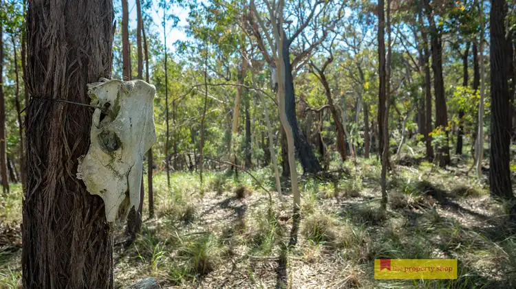 Fourth view of Homely rural property listing, 156 Triangle Swamp Road, Mudgee NSW 2850
