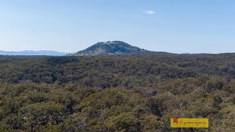 Sixth view of Homely rural property listing, 156 Triangle Swamp Road, Mudgee NSW 2850