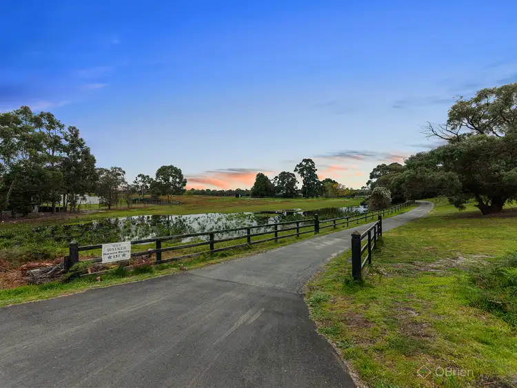 Third view of Homely house listing, 137-145 Smiths Lane, Pearcedale VIC 3912