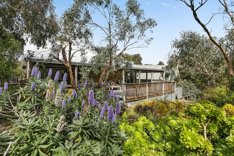 Sixth view of Homely house listing, 20 Aireys Street, Aireys Inlet VIC 3231