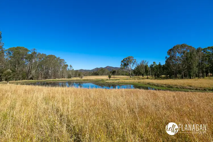 1471 Willi Willi Road, Temagog NSW 2440