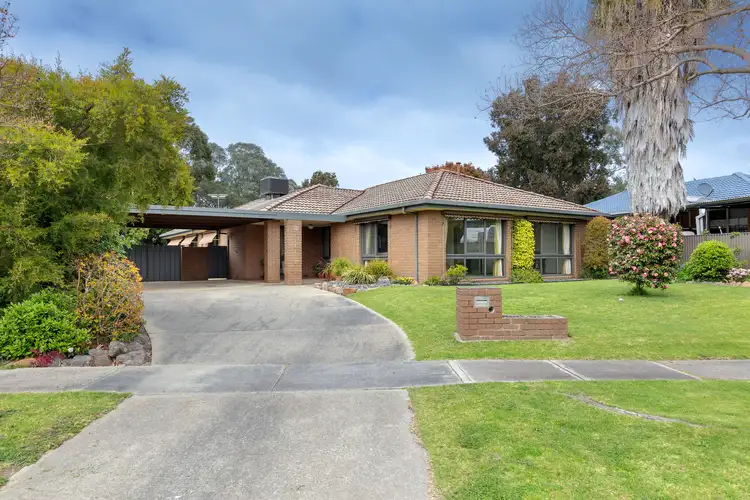 Main view of Homely house listing, 16 Poplar Street, Wodonga VIC 3690