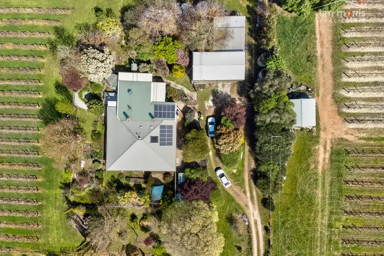 Third view of Homely rural property listing, 8271 Horrocks Highway, Gillentown SA 5453