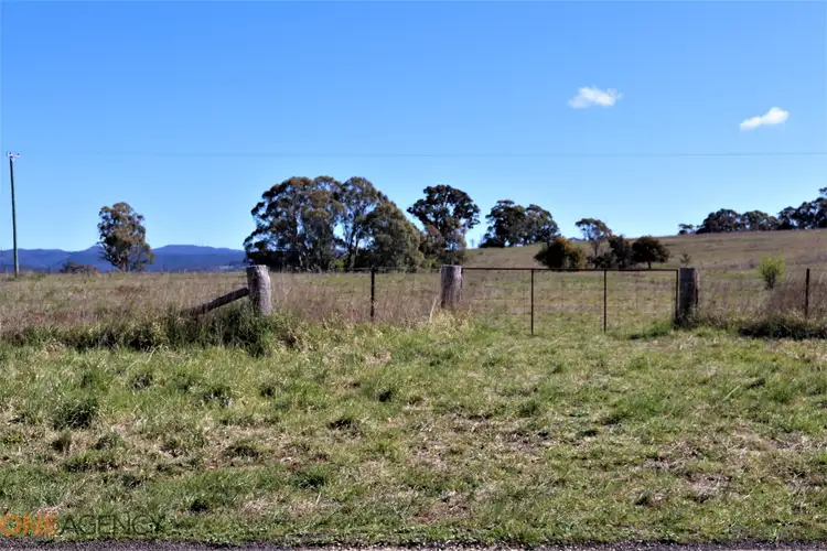 Main view of Homely land listing, 134 Long Swamp Road, Millthorpe NSW 2798