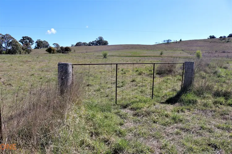 Fourth view of Homely land listing, 134 Long Swamp Road, Millthorpe NSW 2798