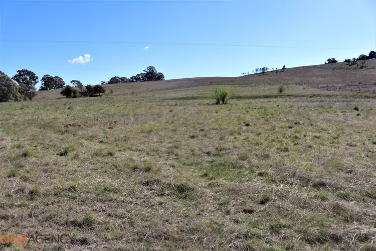 Fifth view of Homely land listing, 134 Long Swamp Road, Millthorpe NSW 2798