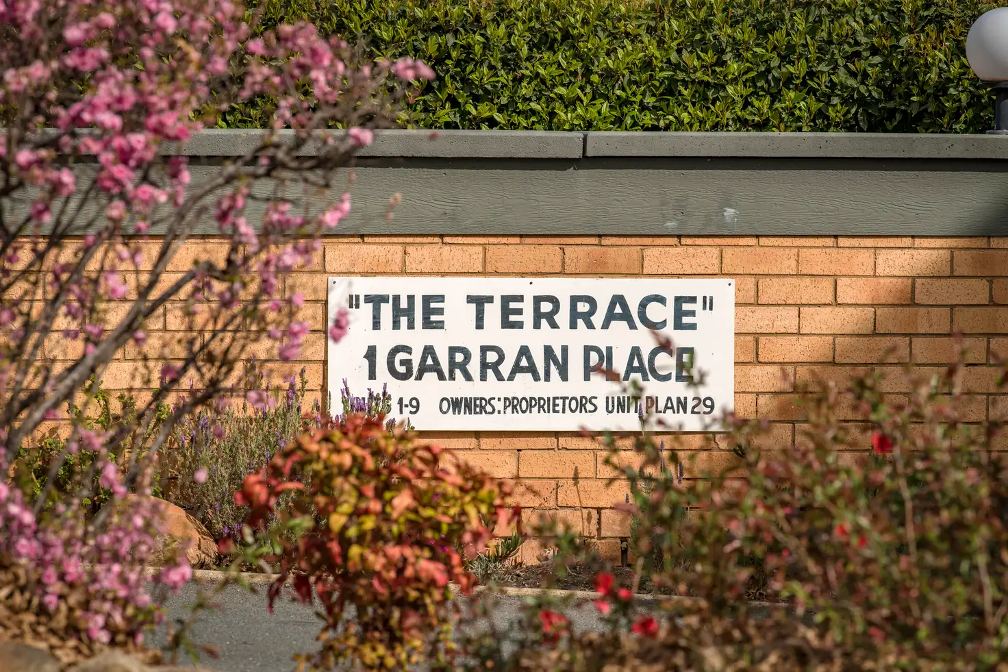 Main view of Homely house listing, 3/1 Garran Place, Garran ACT 2605