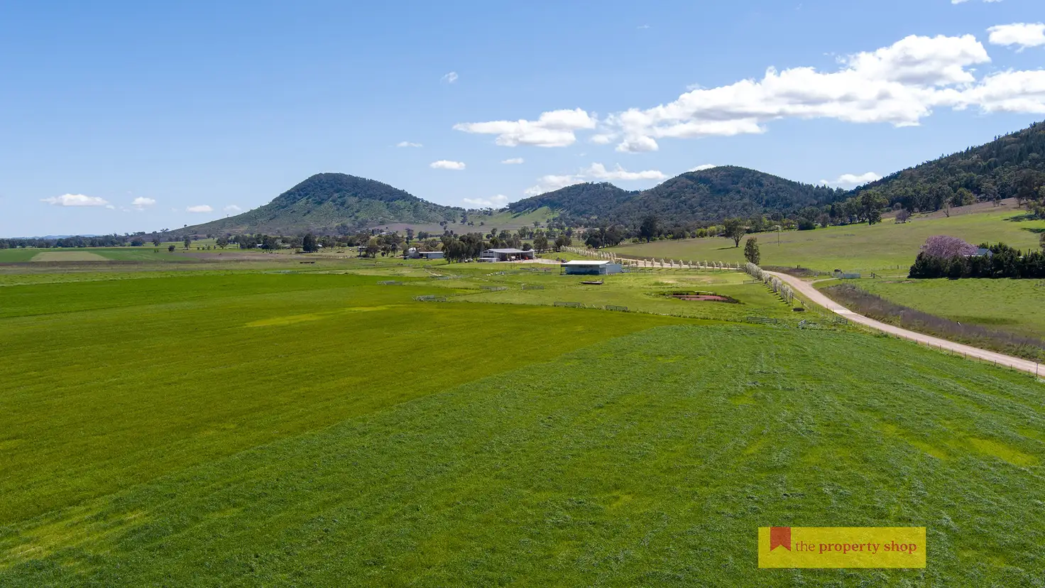 Main view of Homely rural property listing, 434 Melrose Road, Mudgee NSW 2850