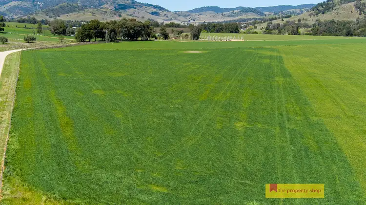 Third view of Homely rural property listing, 434 Melrose Road, Mudgee NSW 2850