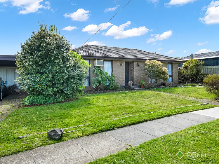 Main view of Homely house listing, 14 Olstead Drive, Baxter VIC 3911