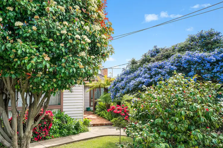 Main view of Homely house listing, 34 Hawkhurst Street, Yarraville VIC 3013