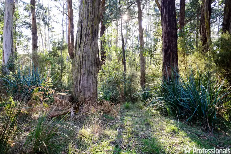 Main view of Homely land listing, 12 Glory Avenue, Don Valley VIC 3139