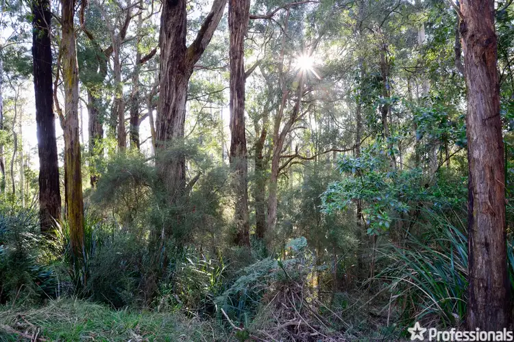Fifth view of Homely land listing, 12 Glory Avenue, Don Valley VIC 3139