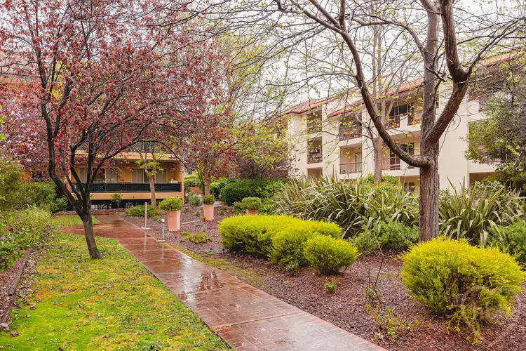 Second view of Homely apartment listing, 13/25 Fawkner Street, Braddon ACT 2612