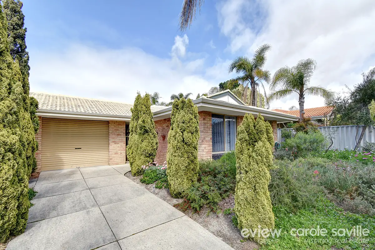 Main view of Homely semi-detached listing, 3A Whitcombe Way, Alexander Heights WA 6064
