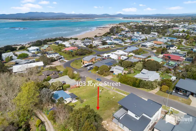 103 Joyce Street, Hawley Beach TAS 7307