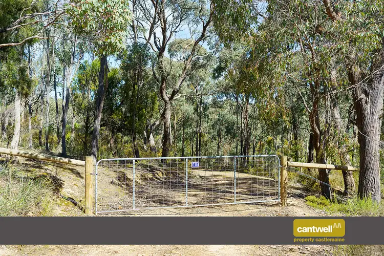 115 Sarah Court, Elphinstone VIC 3448