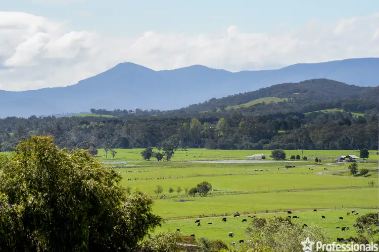 Fifth view of Homely house listing, 1565 Warburton Highway, Woori Yallock VIC 3139