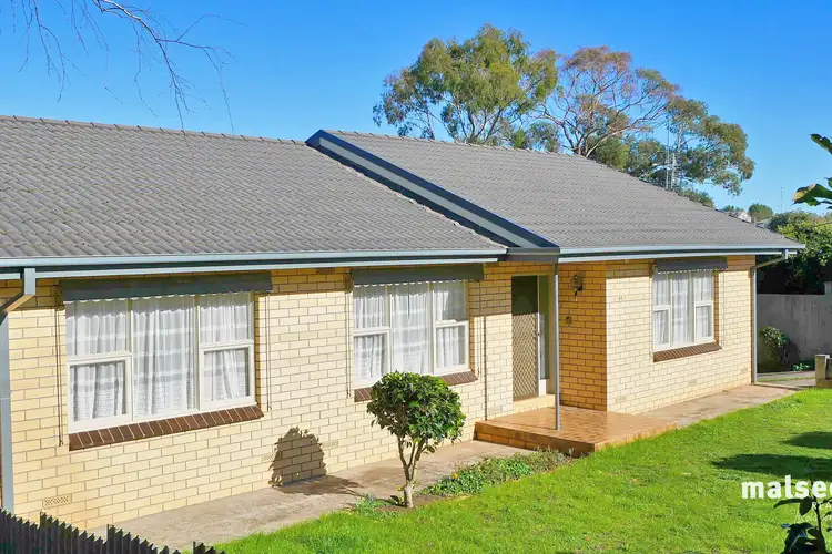 Second view of Homely house listing, 44 Tolmie Street, Mount Gambier SA 5290