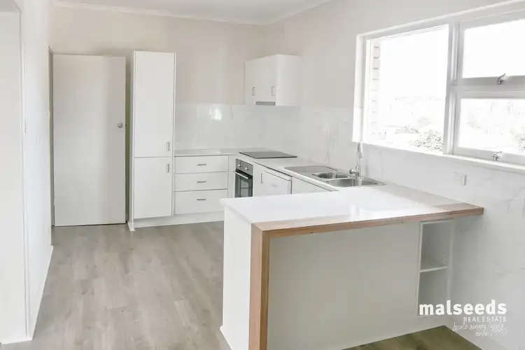Third view of Homely house listing, 44 Tolmie Street, Mount Gambier SA 5290