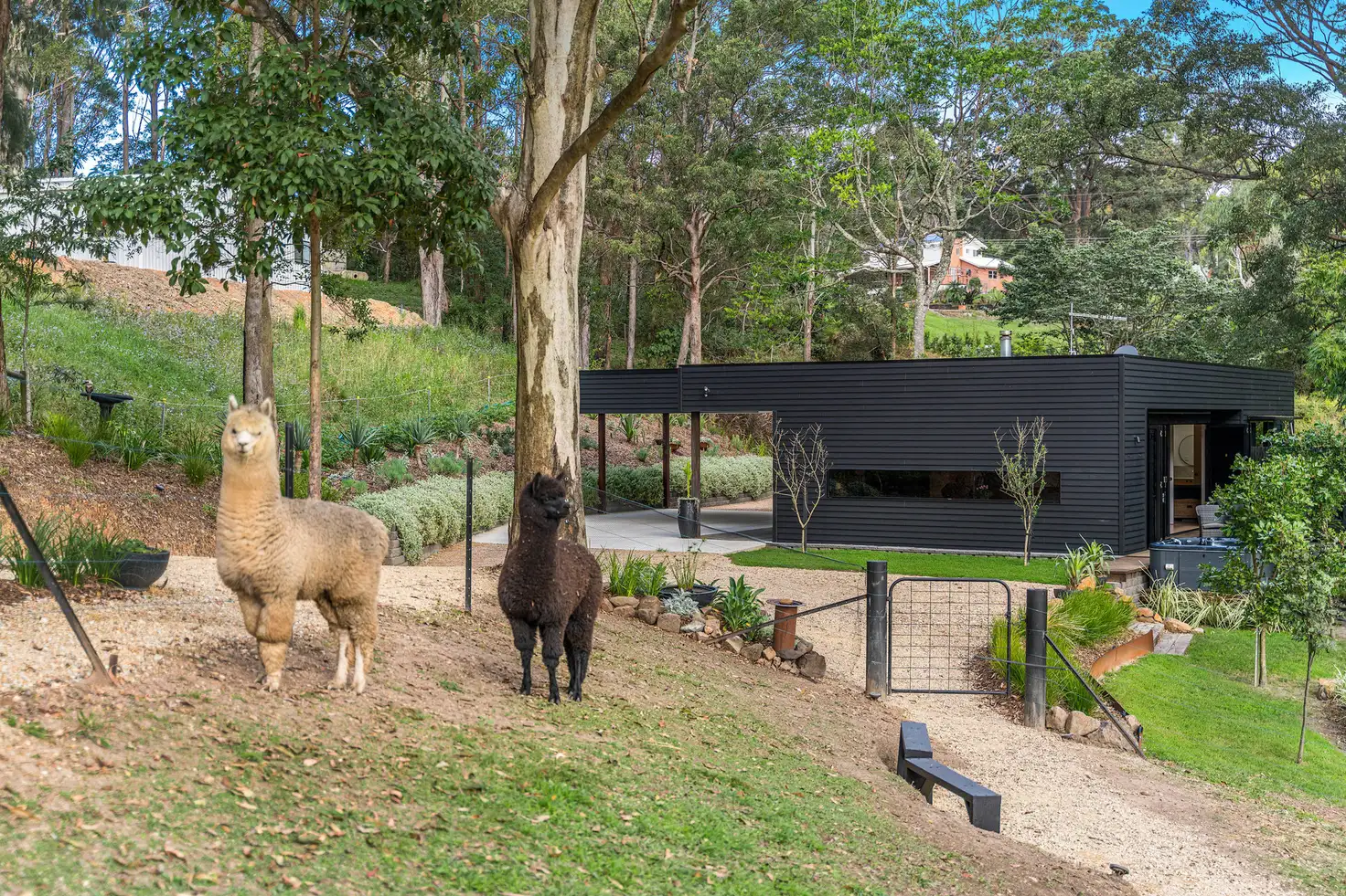 Main view of Homely house listing, 10 North Hill Court, Tanglewood NSW 2488