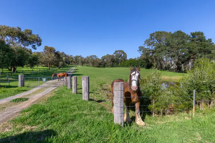Seventh view of Homely land listing, 8 Valley Road, Langwarrin VIC 3910