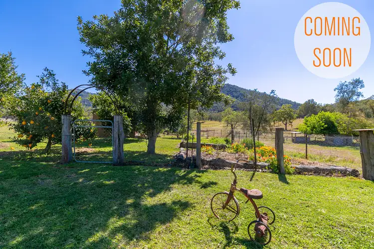 Fifth view of Homely rural property listing, 8404 Kempsey Road, Lower Creek NSW 2440