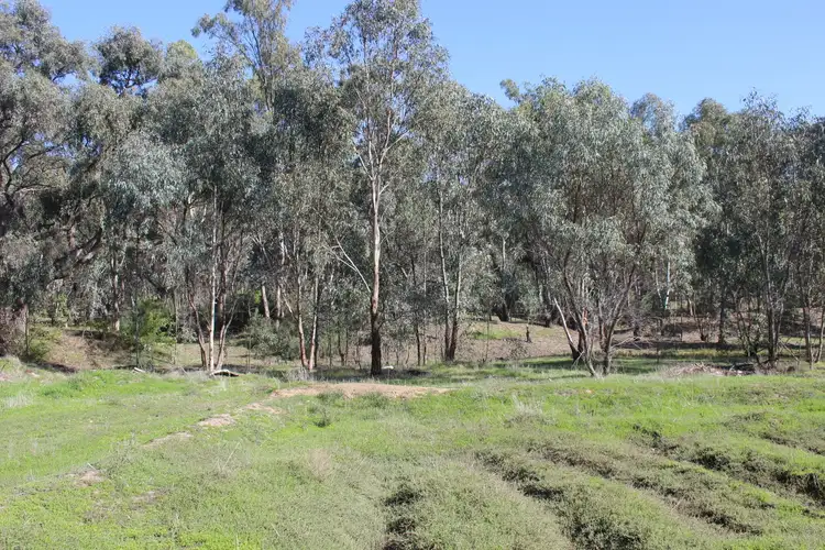 Sixth view of Homely rural property listing, 57 Goulburn Road, Echuca VIC 3564