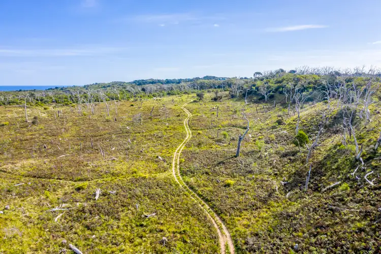 Third view of Homely house listing, 1010 Lighthouse Road, Cape Otway VIC 3233