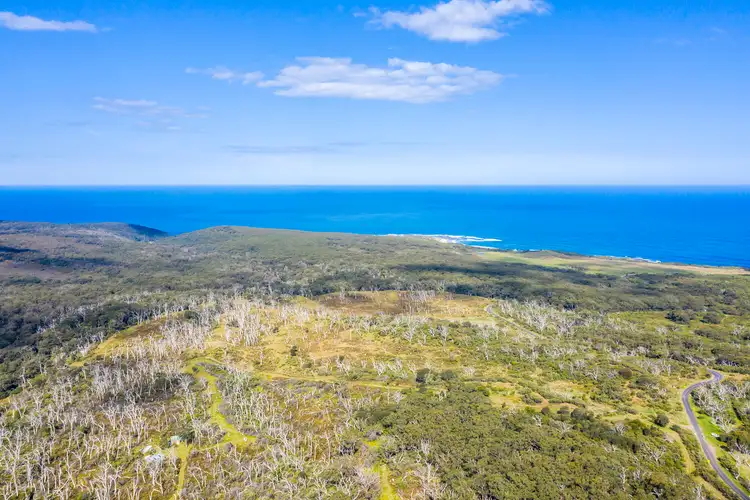 Fifth view of Homely house listing, 1010 Lighthouse Road, Cape Otway VIC 3233