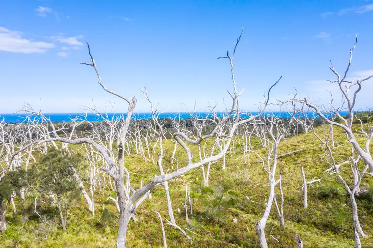 Sixth view of Homely house listing, 1010 Lighthouse Road, Cape Otway VIC 3233
