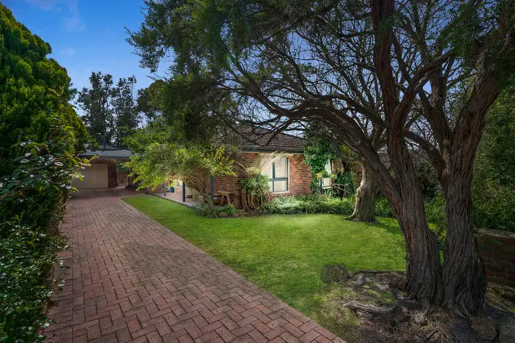 Main view of Homely house listing, 14 Russett Court, Frankston VIC 3199