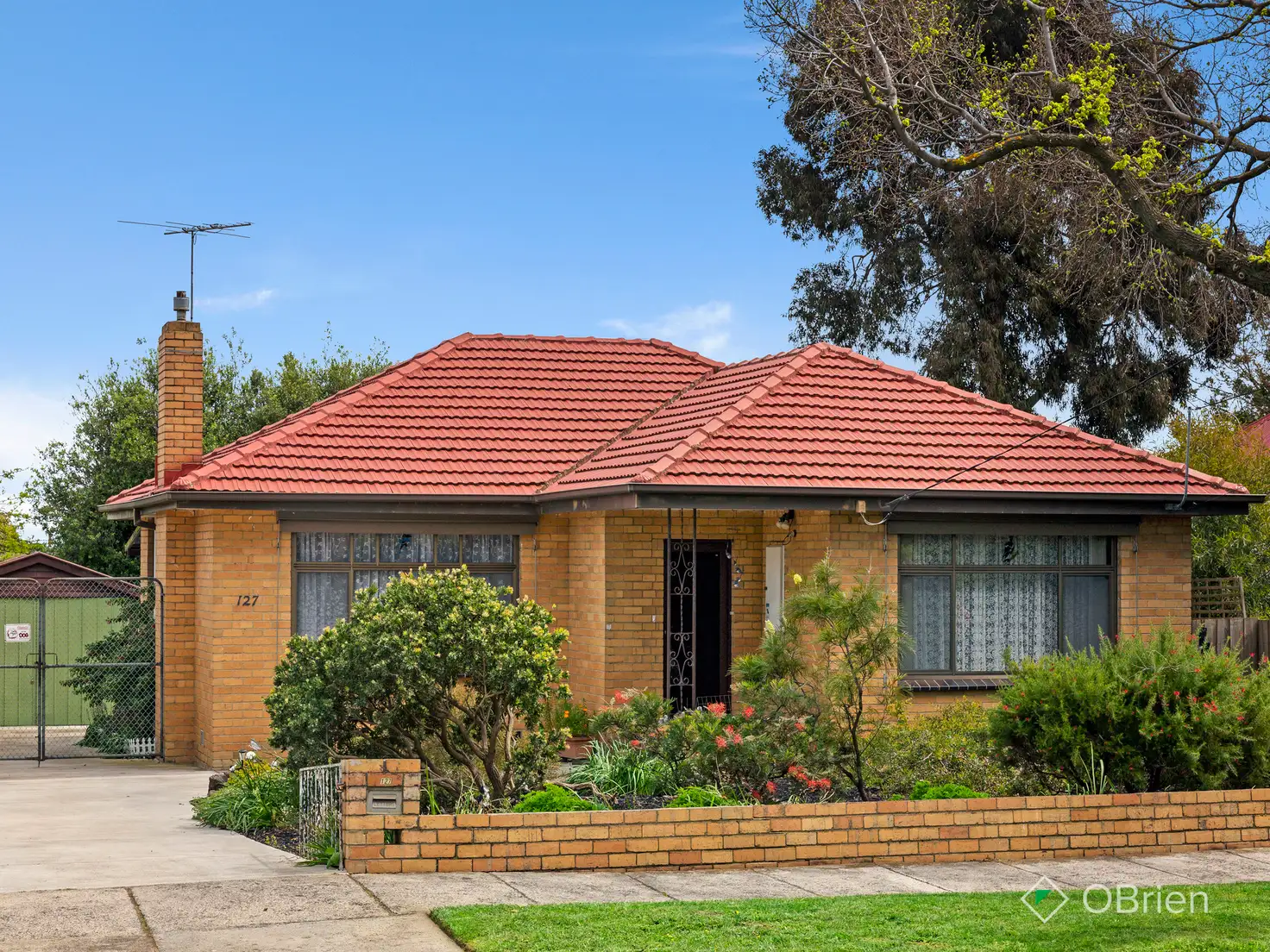 Main view of Homely house listing, 127 Cavanagh Street, Cheltenham VIC 3192