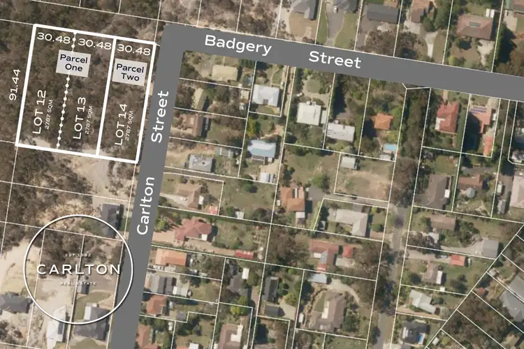 Main view of Homely rural property listing, LOT 12 & 13 Badgery Street, Willow Vale NSW 2575
