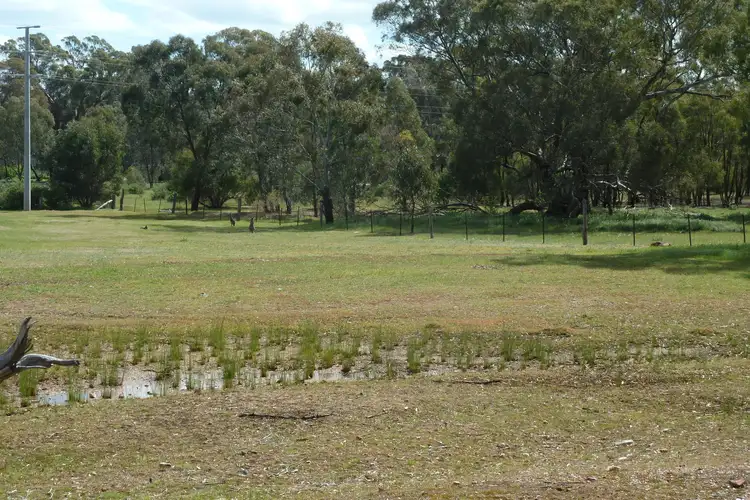 Seventh view of Homely rural property listing, 1 Bobsiens Hill Road, Wedderburn VIC 3518